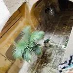 Bivù