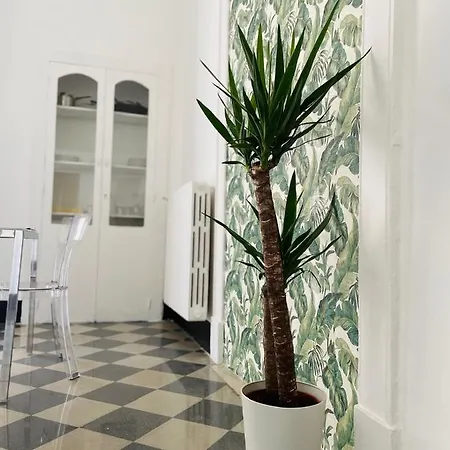 Bivu Διαμέρισμα